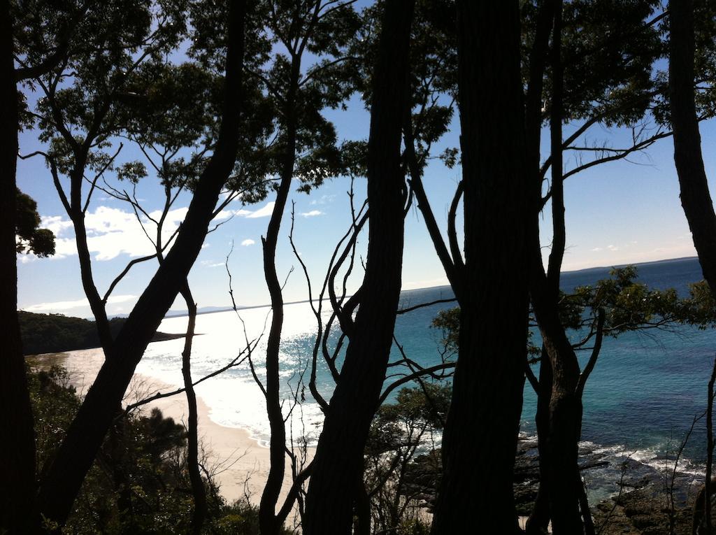 Hyams Beach - A Secret Treasure Номер фото